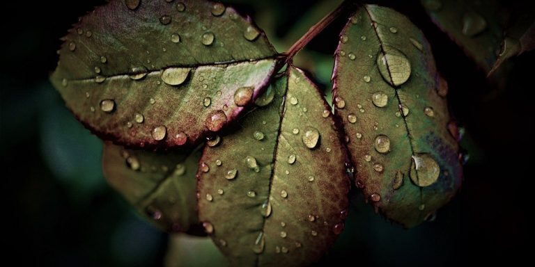 Regenwetter an den Börsen