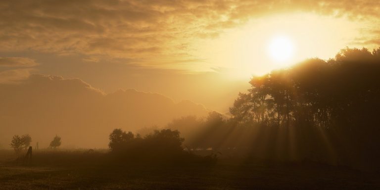 sunrise-5678735_1280