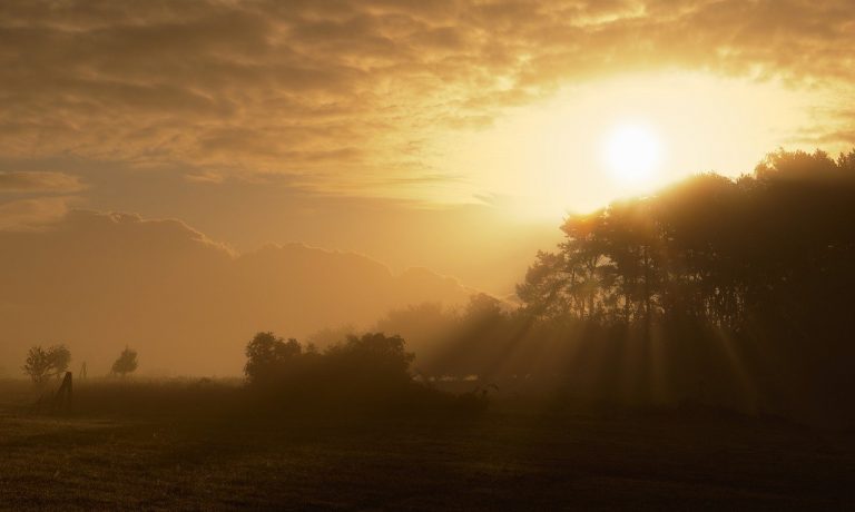 sunrise-5678735_1280