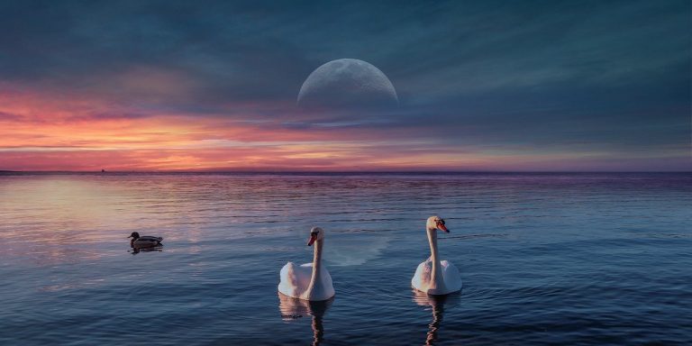 background-6616007_1280