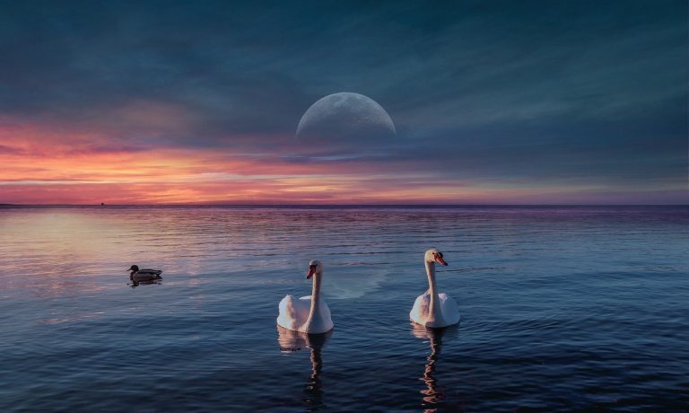 background-6616007_1280