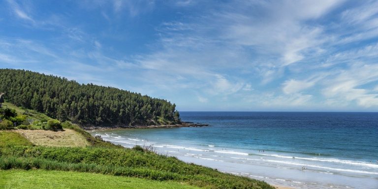 nature-g3724d872b_1280-1