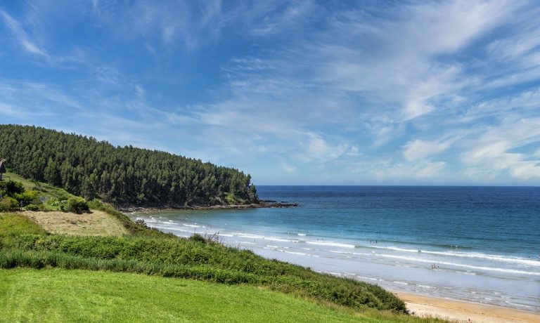 nature-g3724d872b_1280-1