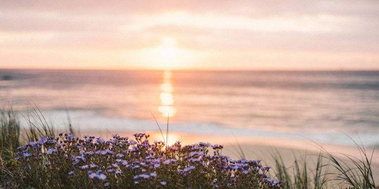 nature-gb50ad2e4d_1280