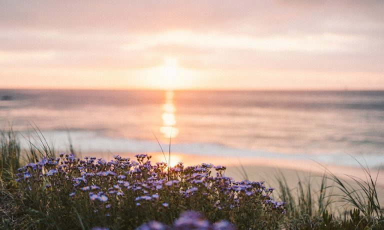 nature-gb50ad2e4d_1280