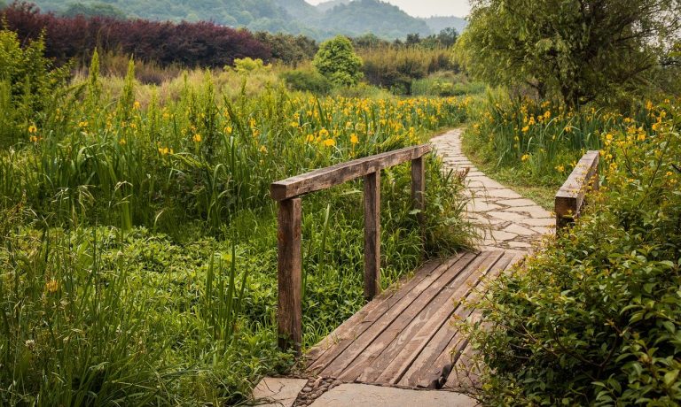 china-g6826f8d5e_1280