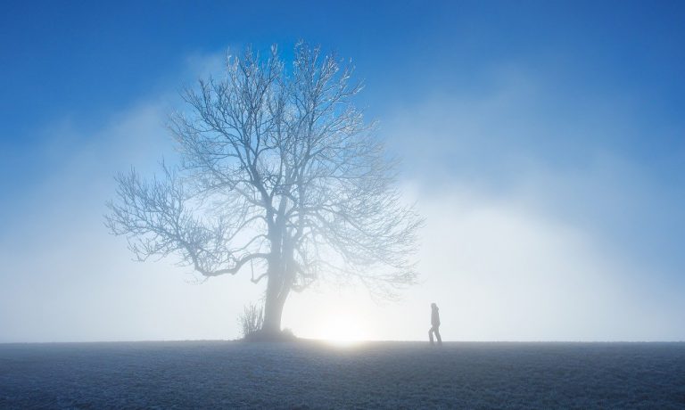 nature-gb017ebd08_1280