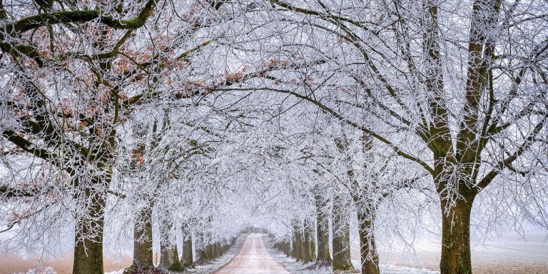 road-g49d1e1e3c_1280