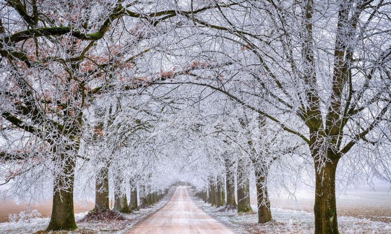 road-g49d1e1e3c_1280