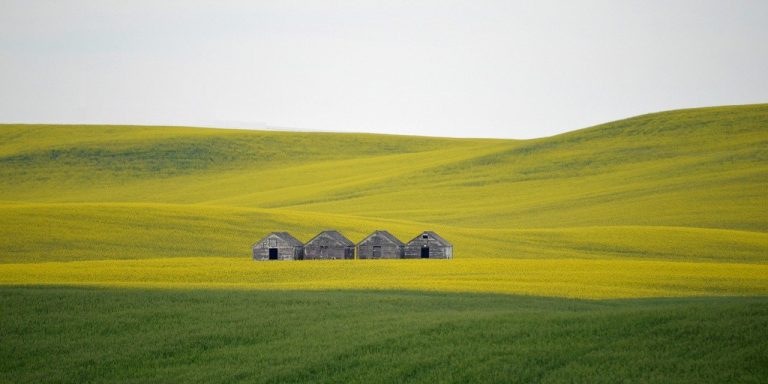 field-g9a0c8baba_1280