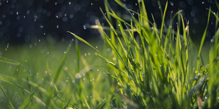 spring-ge2eeb9fc7_1280