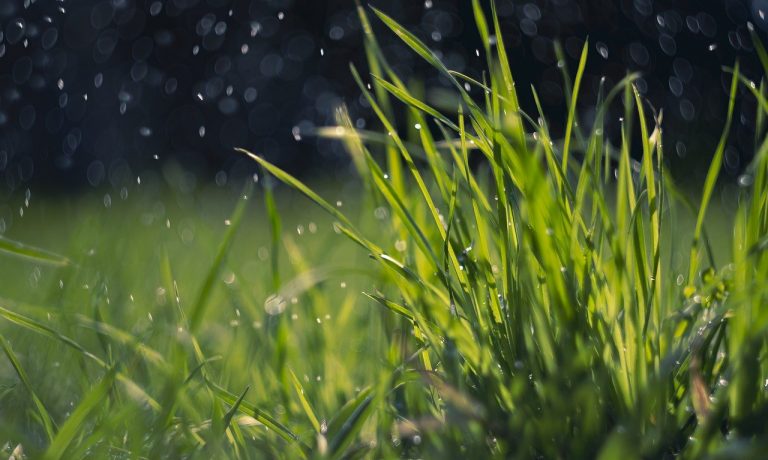 spring-ge2eeb9fc7_1280