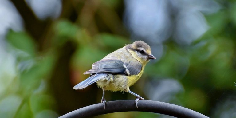 Foto von Ralphs_Fotos