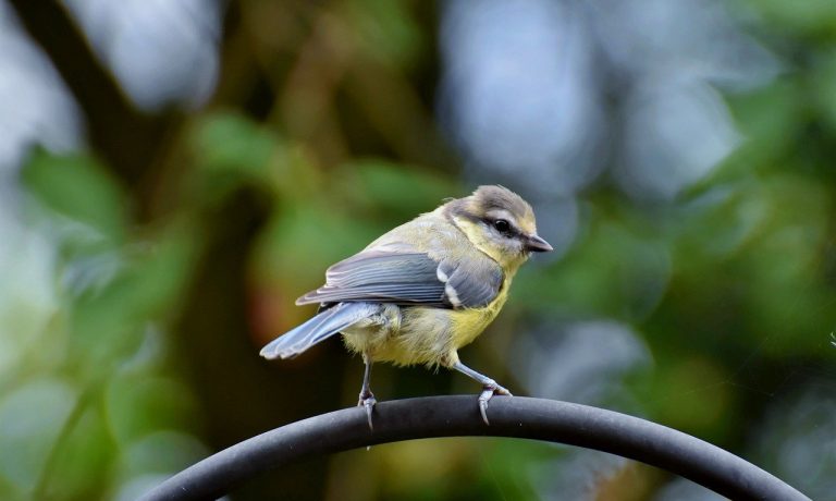 Foto von Ralphs_Fotos