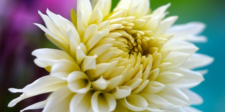 Foto von matthiasboeckel