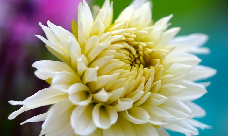 Foto von matthiasboeckel