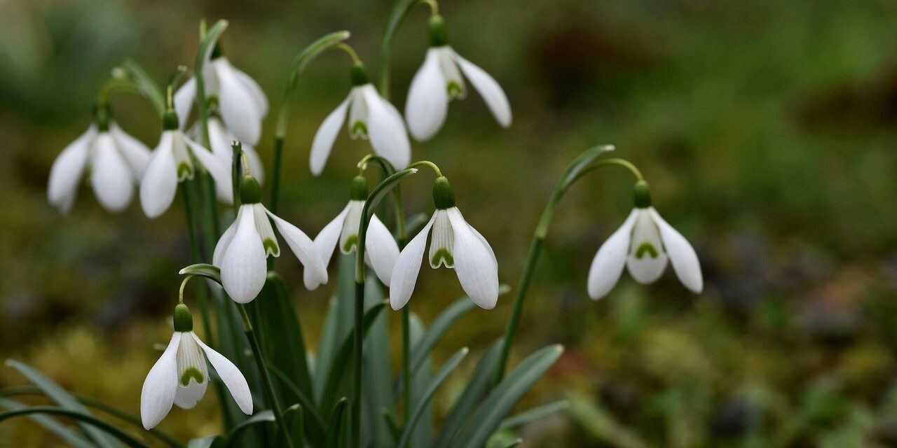 Foto von Ralphs_Fotos