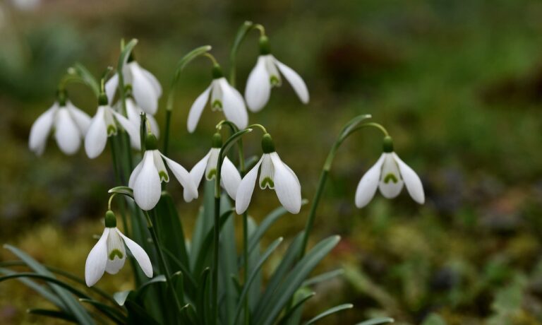 Foto von Ralphs_Fotos