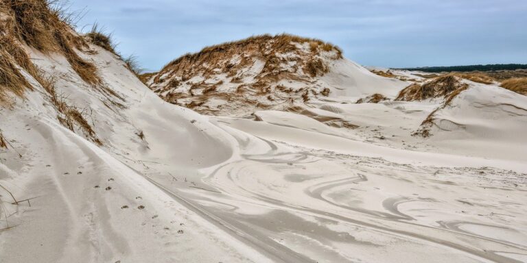 Foto von Peggychoucair