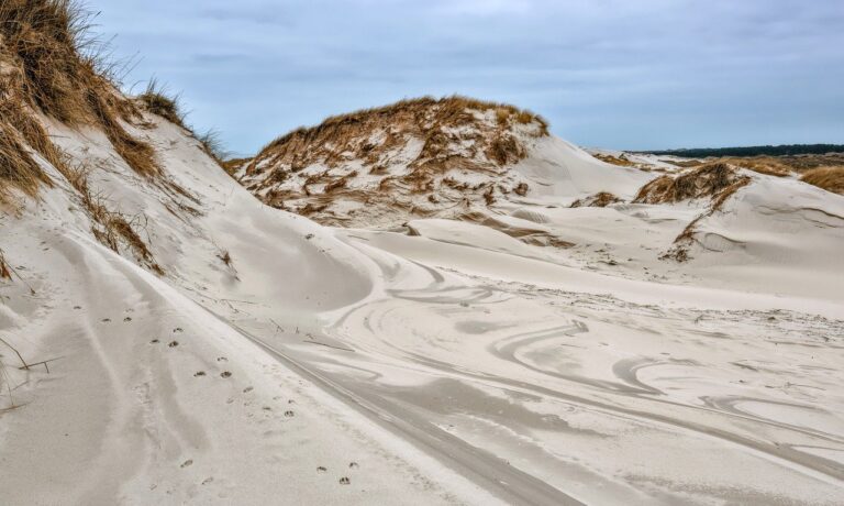 Foto von Peggychoucair