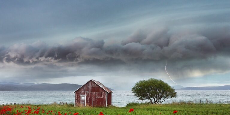 Photo by ELG21 field, flower background, flowers