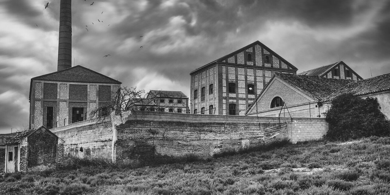 factory, abandoned, birds