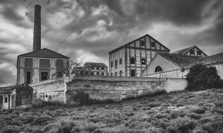 Photo by ELG21 factory, abandoned, birds