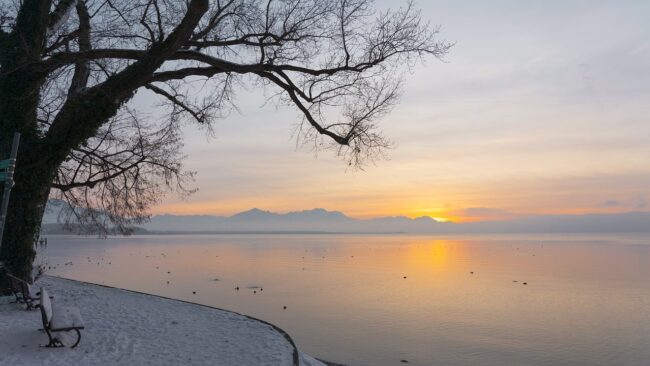 lake, riverbank, nature
