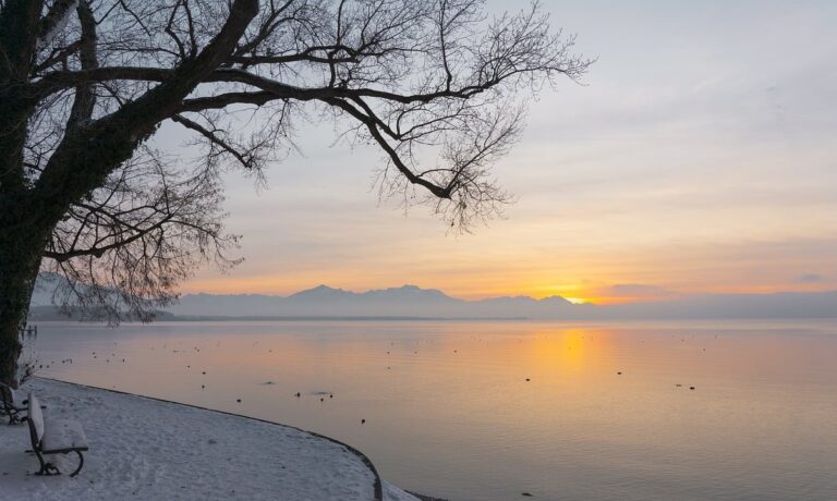 Photo by ChiemSeherin lake, riverbank, nature