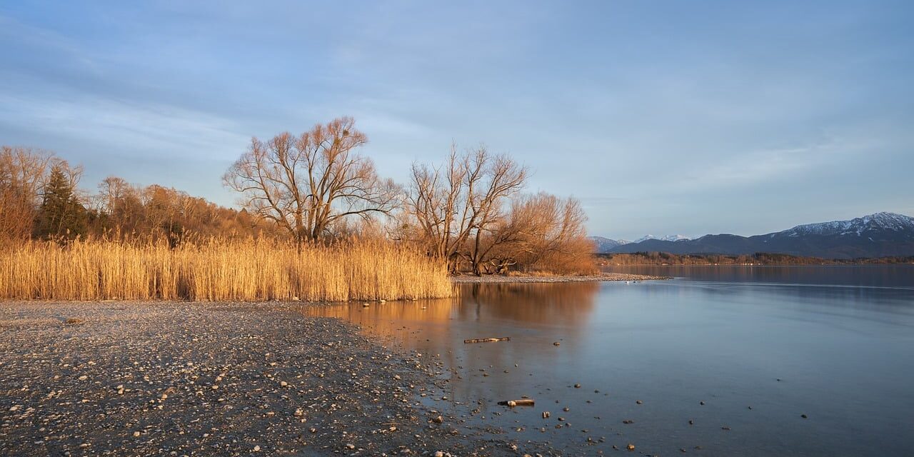 lake, riverbank, grass