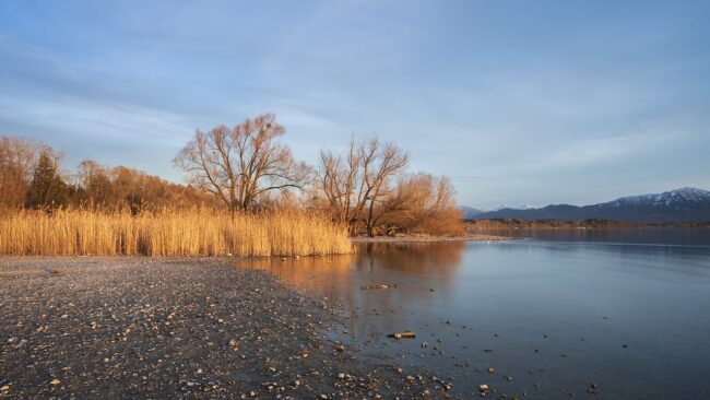 lake, riverbank, grass