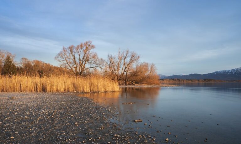 Photo by ChiemSeherin lake, riverbank, grass