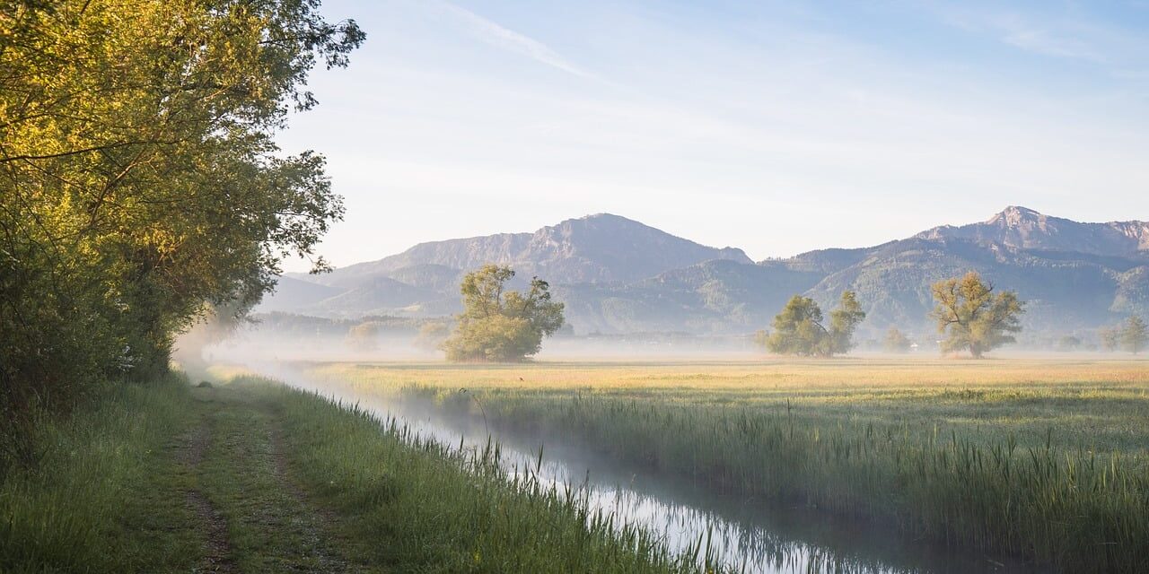 nature, landscape, canal
