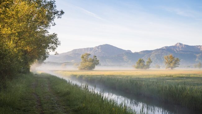 nature, landscape, canal