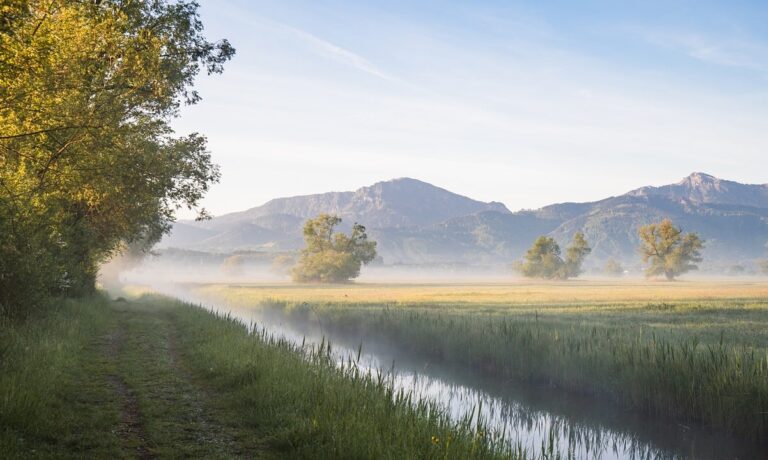 Photo by ChiemSeherin nature, landscape, canal