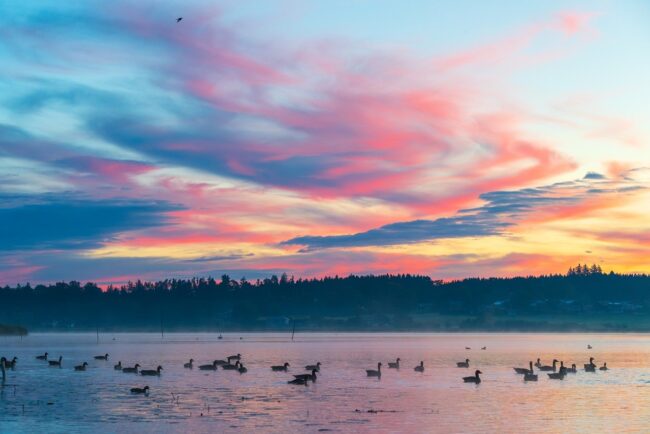 sunrise, sunlight, scenic