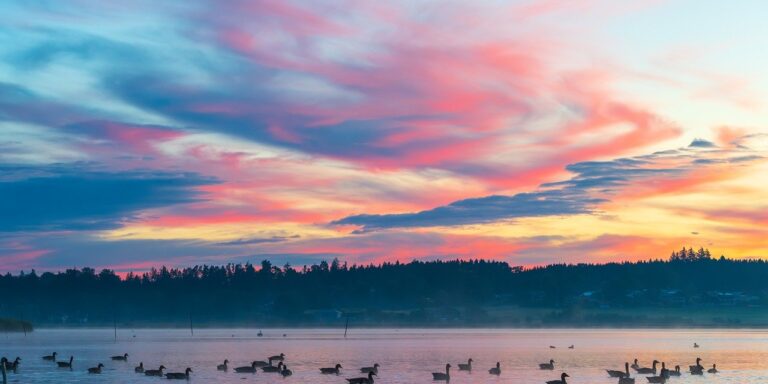 Photo by ChiemSeherin sunrise, sunlight, scenic