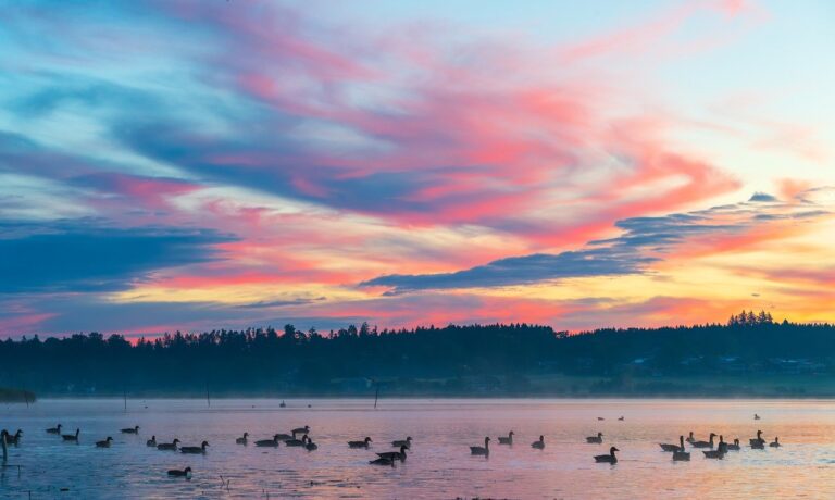 Photo by ChiemSeherin sunrise, sunlight, scenic