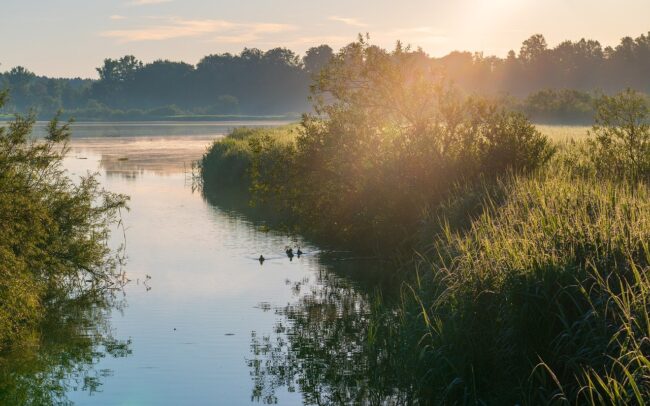 morning mood, sunrise, atmosphere