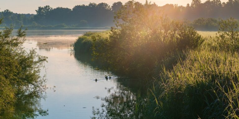 Photo by ChiemSeherin morning mood, sunrise, atmosphere