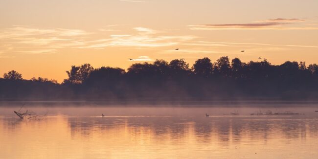 sunrise, morning haze, morning mood