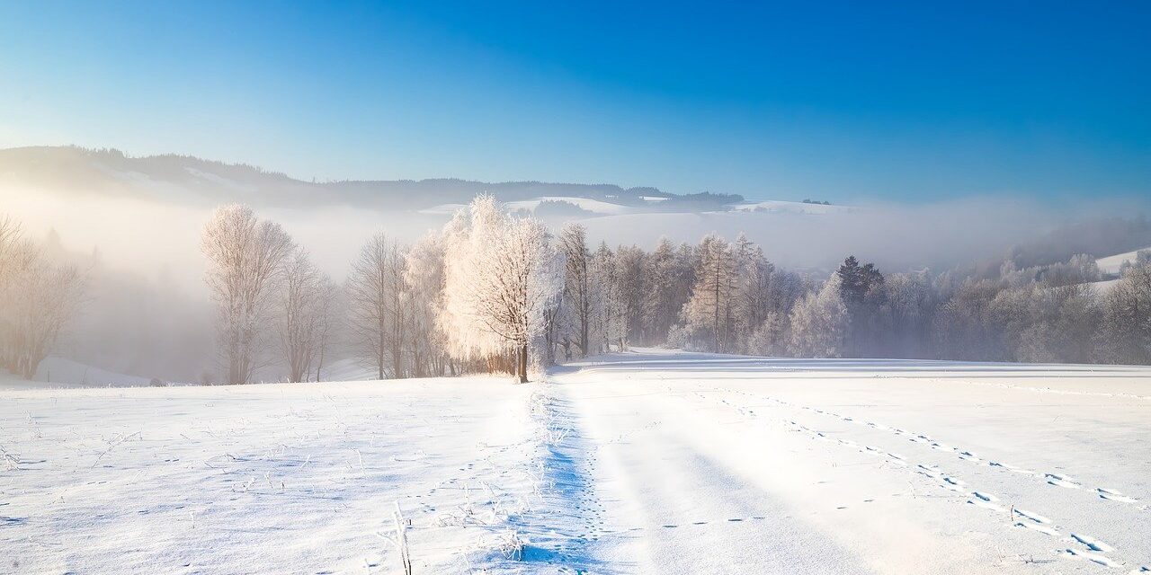 country, winter, forest, icing, snow, sky, nature