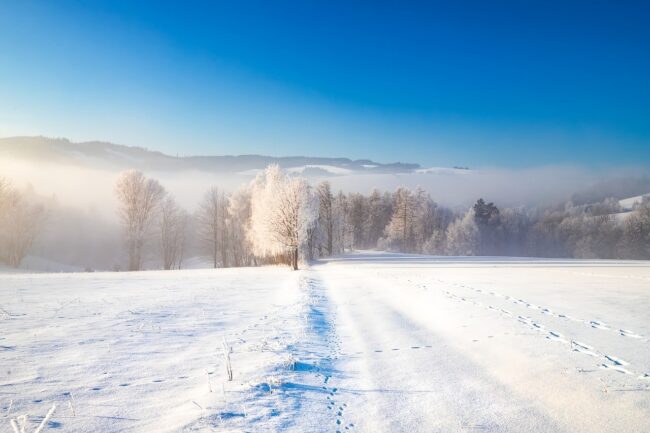 country, winter, forest, icing, snow, sky, nature