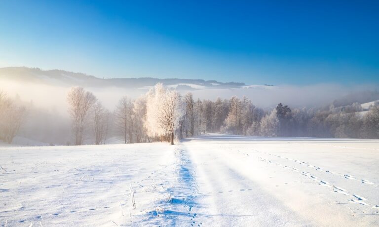 Photo by katerinavulcova country, winter, forest, icing, snow, sky, nature