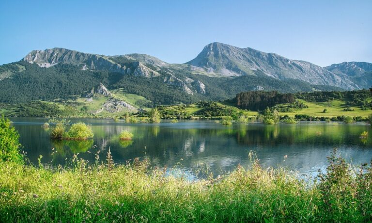 Photo by ELG21 landscape, lake, moutains, nature, vegetation, darling, hiking, trees