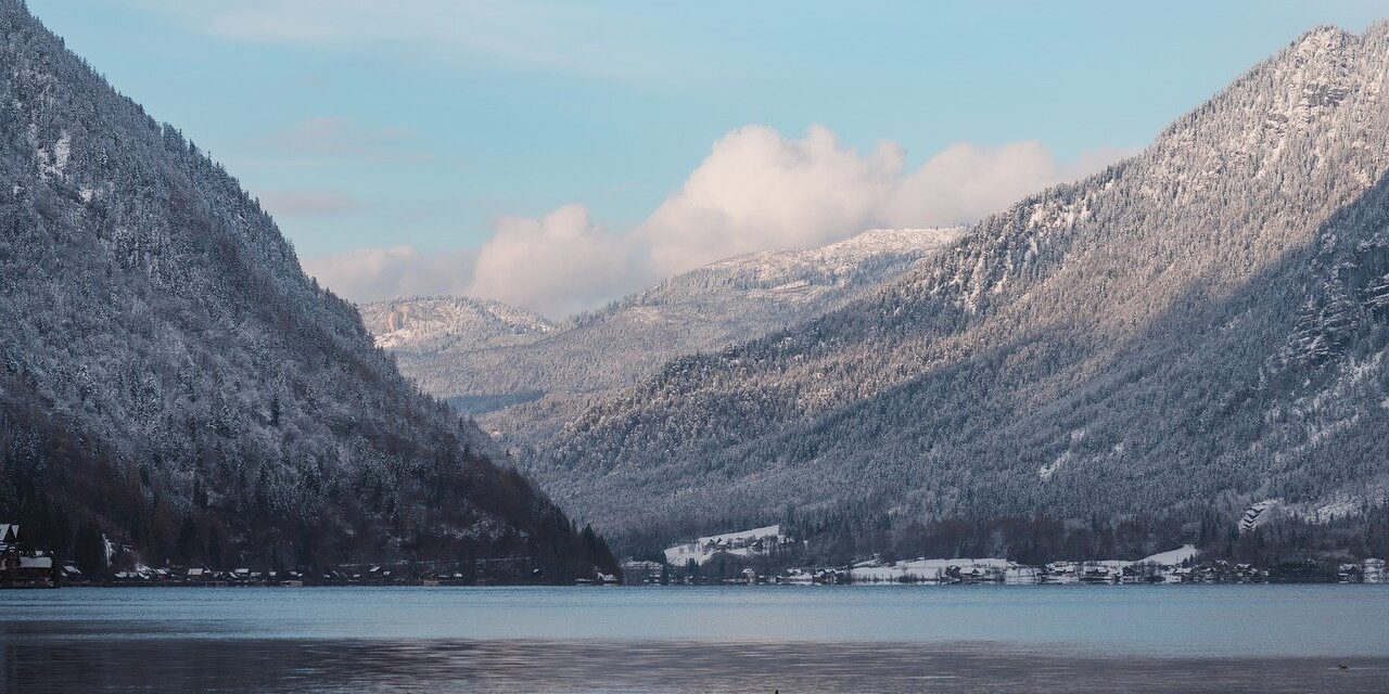 misty forest, pine trees, winter wonderland, hd wallpaper, nature, serene, nature background, cold weather, beautiful wallpaper, windows wallpaper, full hd wallpaper, 4k wallpaper, wilderness, wallpaper hd, laptop wallpaper, mac wallpaper, wallpaper 4k, desktop backgrounds, dreamy, landscape photography, nature lovers, nature wallpaper, cool backgrounds, frosted trees, wallpaper, background images, background, free background, free wallpaper, 4k, pictures, 4k wallpaper 1920x1080, beautiful nature, desktop wallpaper, desktop background