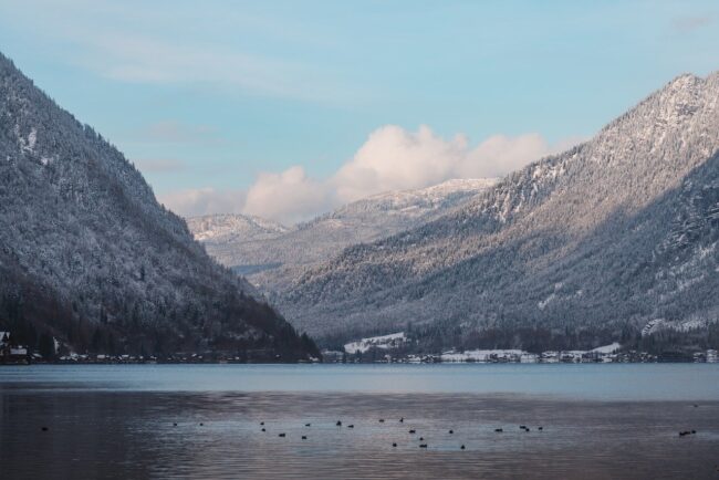 misty forest, pine trees, winter wonderland, hd wallpaper, nature, serene, nature background, cold weather, beautiful wallpaper, windows wallpaper, full hd wallpaper, 4k wallpaper, wilderness, wallpaper hd, laptop wallpaper, mac wallpaper, wallpaper 4k, desktop backgrounds, dreamy, landscape photography, nature lovers, nature wallpaper, cool backgrounds, frosted trees, wallpaper, background images, background, free background, free wallpaper, 4k, pictures, 4k wallpaper 1920x1080, beautiful nature, desktop wallpaper, desktop background