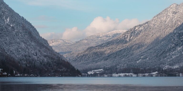 Photo by ahmetyuksek misty forest, pine trees, winter wonderland, hd wallpaper, nature, serene, nature background, cold weather, beautiful wallpaper, windows wallpaper, full hd wallpaper, 4k wallpaper, wilderness, wallpaper hd, laptop wallpaper, mac wallpaper, wallpaper 4k, desktop backgrounds, dreamy, landscape photography, nature lovers, nature wallpaper, cool backgrounds, frosted trees, wallpaper, background images, background, free background, free wallpaper, 4k, pictures, 4k wallpaper 1920x1080, beautiful nature, desktop wallpaper, desktop background