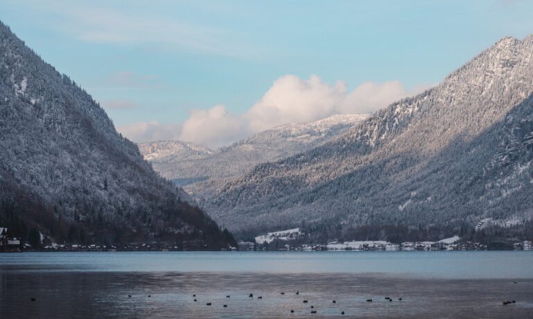 misty forest, pine trees, winter wonderland, hd wallpaper, nature, serene, nature background, cold weather, beautiful wallpaper, windows wallpaper, full hd wallpaper, 4k wallpaper, wilderness, wallpaper hd, laptop wallpaper, mac wallpaper, wallpaper 4k, desktop backgrounds, dreamy, landscape photography, nature lovers, nature wallpaper, cool backgrounds, frosted trees, wallpaper, background images, background, free background, free wallpaper, 4k, pictures, 4k wallpaper 1920x1080, beautiful nature, desktop wallpaper, desktop background