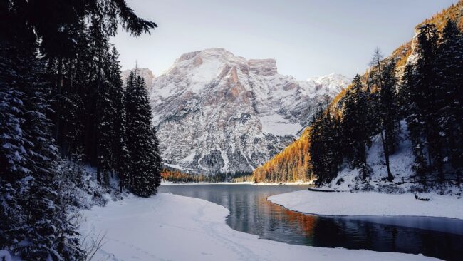 forest, landscape, trees, snow, winter, nature, mountain, sky